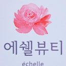 에쉘뷰티