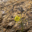 낙조보러가는길 이미지