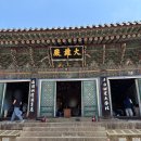 동화사(도학동) | 대구 여행 뚜벅이로 즐긴 팔공산 동화사 DRT 하루 코스