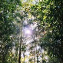 화엄사주차장 화장실 이미지