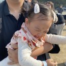 아이비화원 이미지