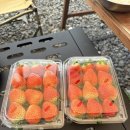 안기농장 이미지