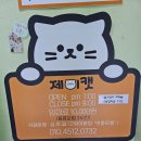 구미 고양이카페 분양 제이캣 | 구미 데이트장소 고양이카페 제이캣 구미 갈만한곳
