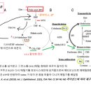 B9 네이버블로그