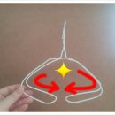 지혜네 세탁소 이미지