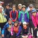 15.4.11(토) 삼메회 4월 청계산 산행-14명이 봄기운을 만끽하여,,(이월회비 1.240.000원) 이미지