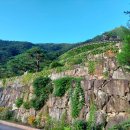 물야초등학교 개단분교장 이미지