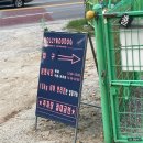 할리우독 이미지
