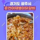 별미 | 경기 광주 경안동맛집 춘천야채별미닭갈비 후기