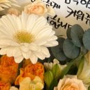 마리스플라워 이미지