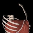 메이크 무브짐 이미지