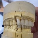 Kims denture치과기공소 | 캐나다 영주권 취득 후 사무직 취업성공 후기