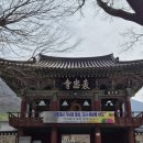 표충사1 | 밀양 표충사 산책 후기 영남알프스 사찰 홍매화 밀양 가볼만한곳