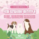 튼튼동물병원 이미지
