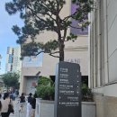 알라딘광고 | 뮤지컬 알라딘 부산 후기 좌석 예매부터 공연까지 (부산청년만원문화패스)