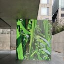 [트랜드 LAB] 송은 아트페이스 “디지털 시대의 울림...Inside Noisy Giraffe》 전시회 관람후기” (4/2)