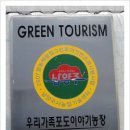 판이농장 이미지