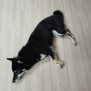 차상로150번길 | [ 일상 ] 우리가 함께한 이 짧은 날들은 분명 다시 돌아오겠죠