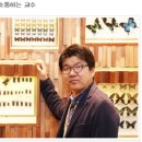 에콜로지아 이미지