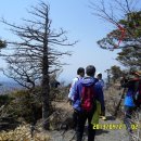 원광대학교 행정대학원 이미지