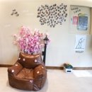 바로펫살롱 | 첨단 강아지미용 핫도그펫살롱 후기 주차 카페 꿀팁까지