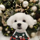 콩찌네 미용실 이미지