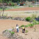 [20180429] 충북 단양 한드미 체험마을 농촌유학 초등 12기 - 4월의 마지막 주말! 카드를 만들고 동아리활동을 해요~! 이미지