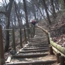 다산숲 이미지