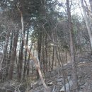 진틀1교 이미지