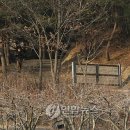 경찰묘지화장실 이미지