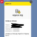 미더베스트 네이버블로그