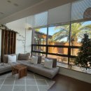 하일리 제주 이미지