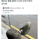 인스타카페