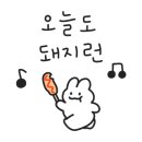 두리 노래연습장 이미지