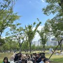 [야간]원어민 기초영어 | 부산 서면 원어민 영어회화 더박스 피크닉 다녀온 후기