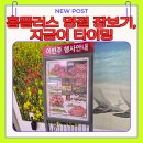 홈플러스 안중점 네이버블로그