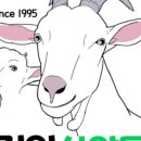 최정언산양목장 이미지