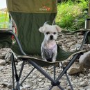 칠봉 화장실 이미지