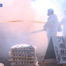 기세축산 이미지