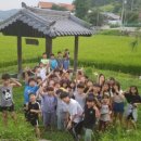 장원태권도 이미지