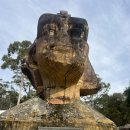 Sphinx Kuringai N. P. 28 May 2023 이미지