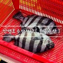 현해탄수산 | 안면도 야시장 [ 현해탄 불곰수산 ] 줄돔 . 광어 . 튀김 먹거리 포장 후기 feat. 여행 맛집