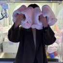 짱오락실 영종도 인스파이어점 이미지