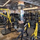 마블휘트니스 이미지