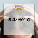 모가나의원 이미지