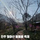봄봄봄 | 진주 월아산 숲속의 진주 봄봄봄 축제 오픈런 후기