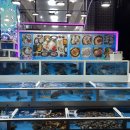 제주도해진횟집탑동본점 이미지