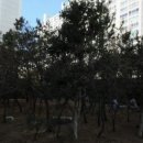 몰운대초등학교 병설유치원 이미지