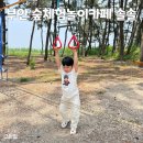 가족이 함께 떠나는 숲체험 & 놀이 - 봄꽃 숲 놀이터 | 전북 부안 아이랑 숲체험놀이카페 솔솔 역대급숲놀이터 후기
