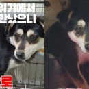 새벽 - 영암군 쌍구길 7 | 새벽